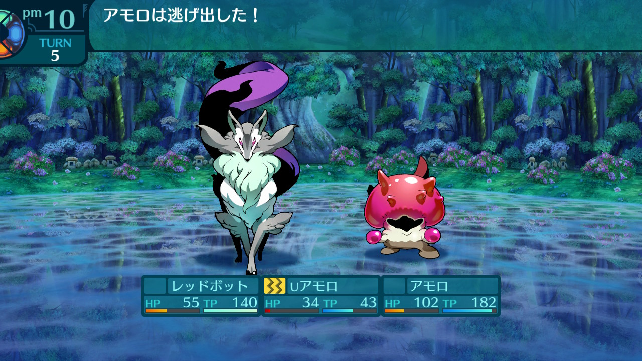 アモロ