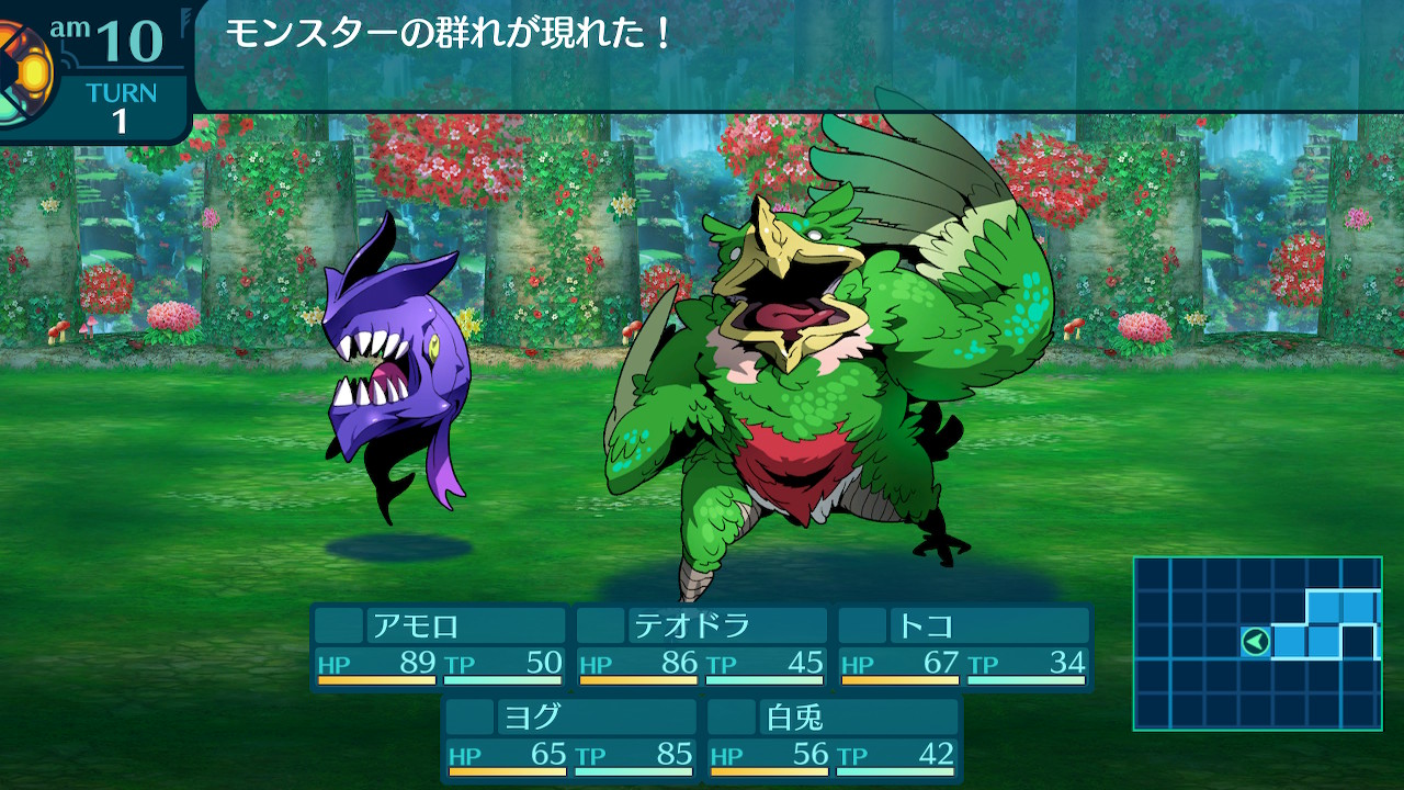 アモロ