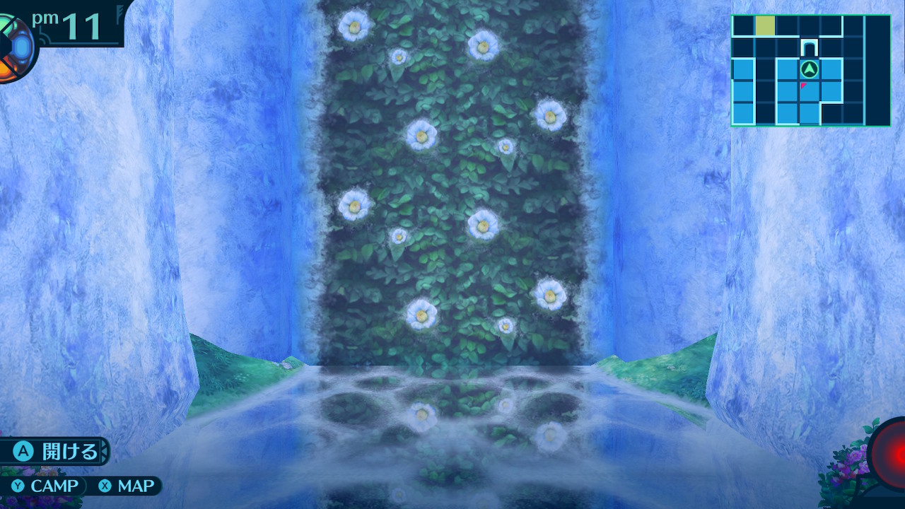 アモロ
