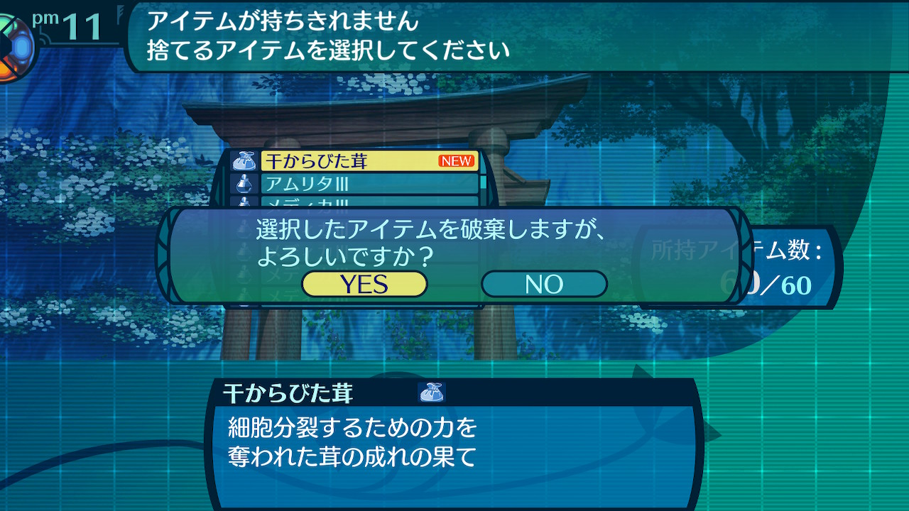 アモロ