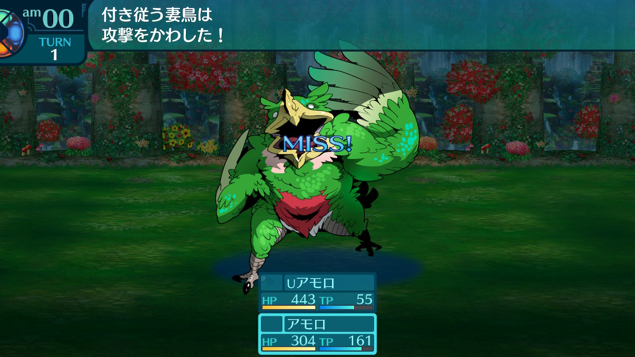 アモロ