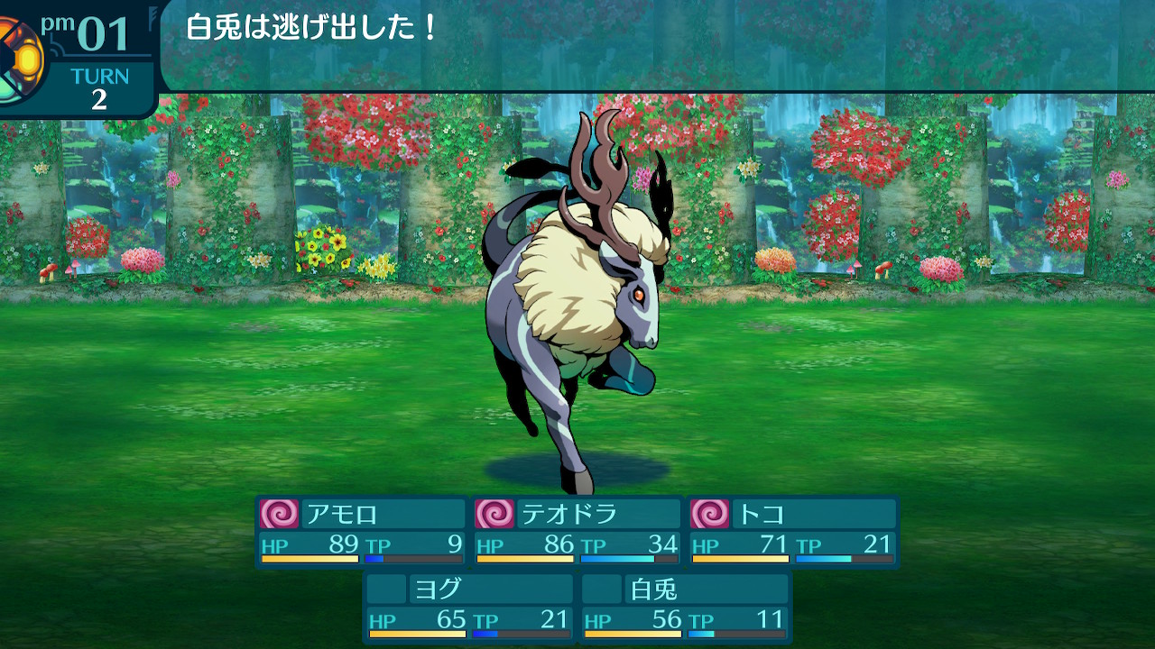 アモロ