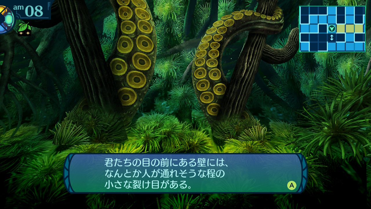 アモロ