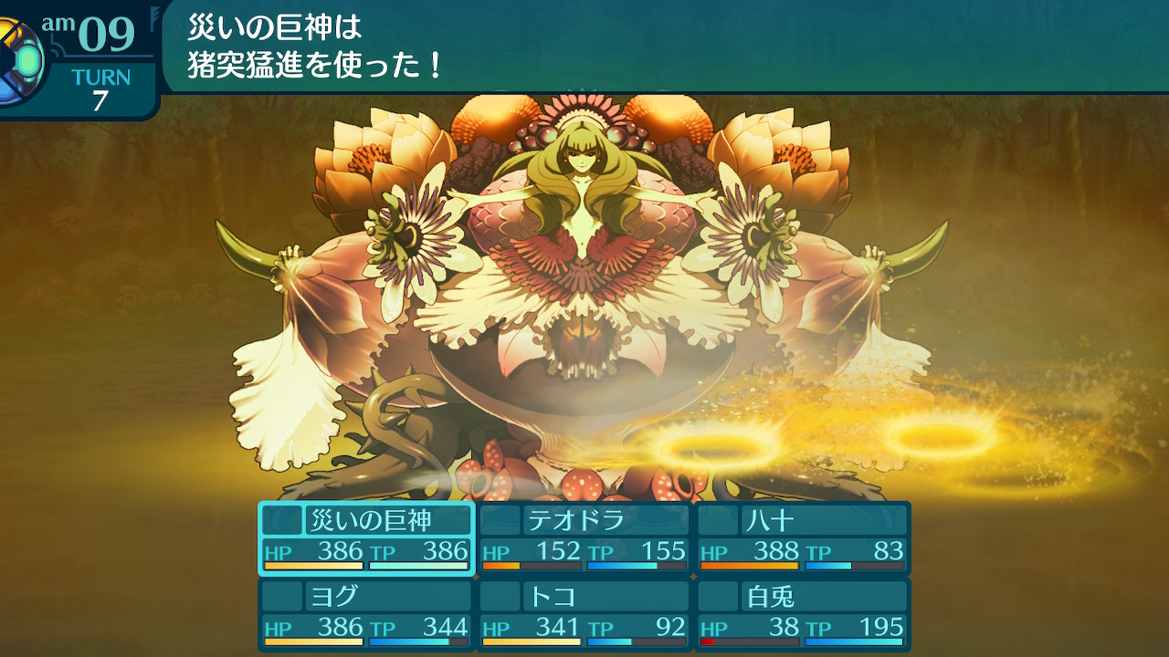 アモロ