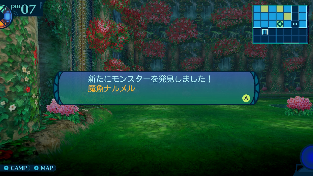 アモロ