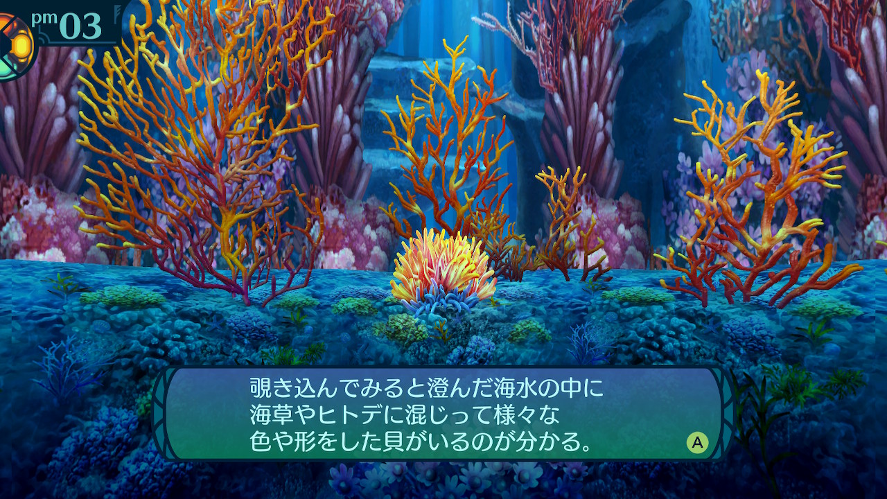 アモロ