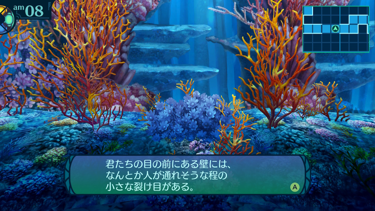アモロ
