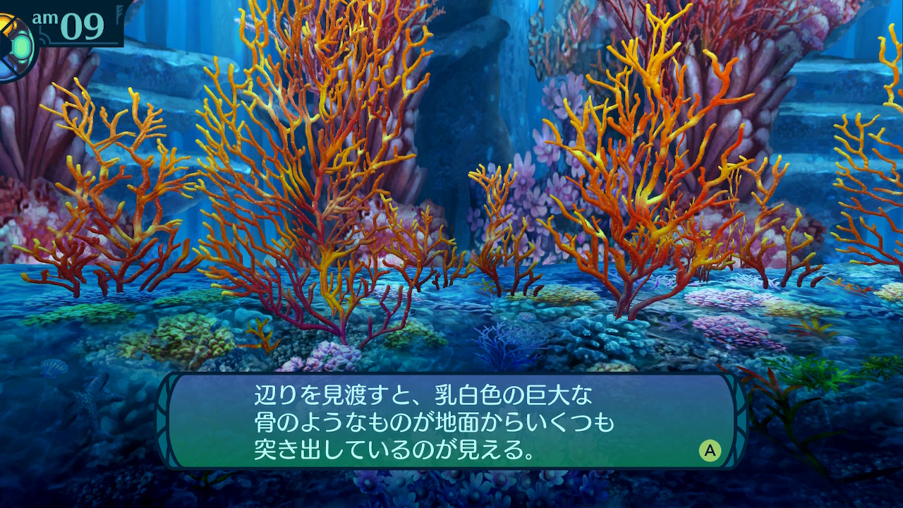 アモロ
