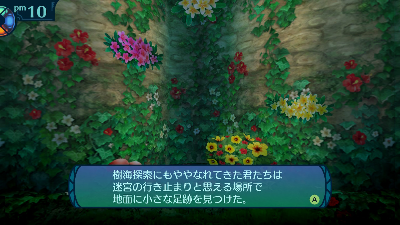 アモロ