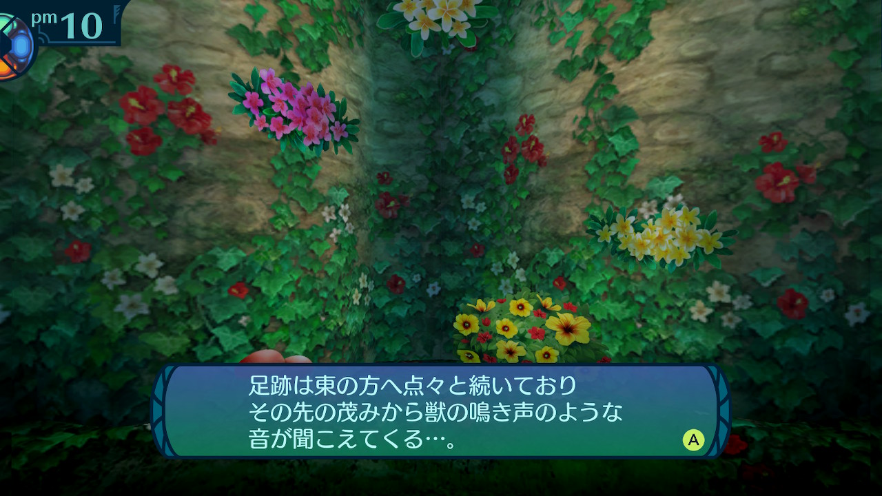 アモロ