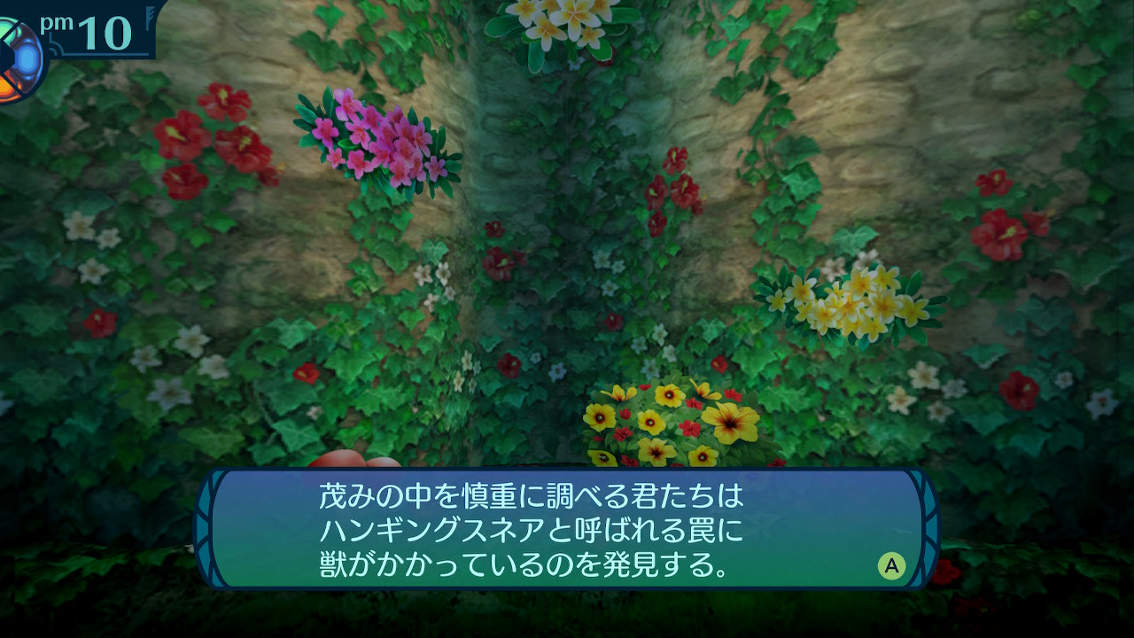 アモロ