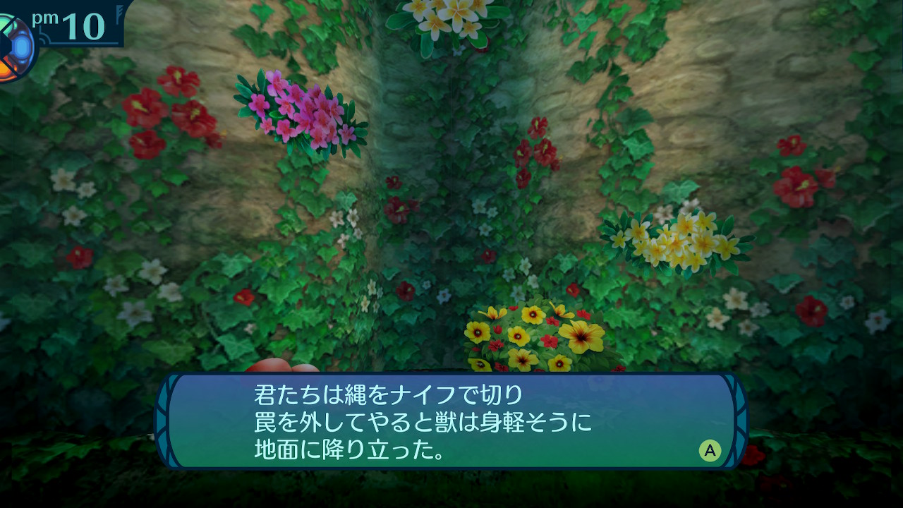 アモロ