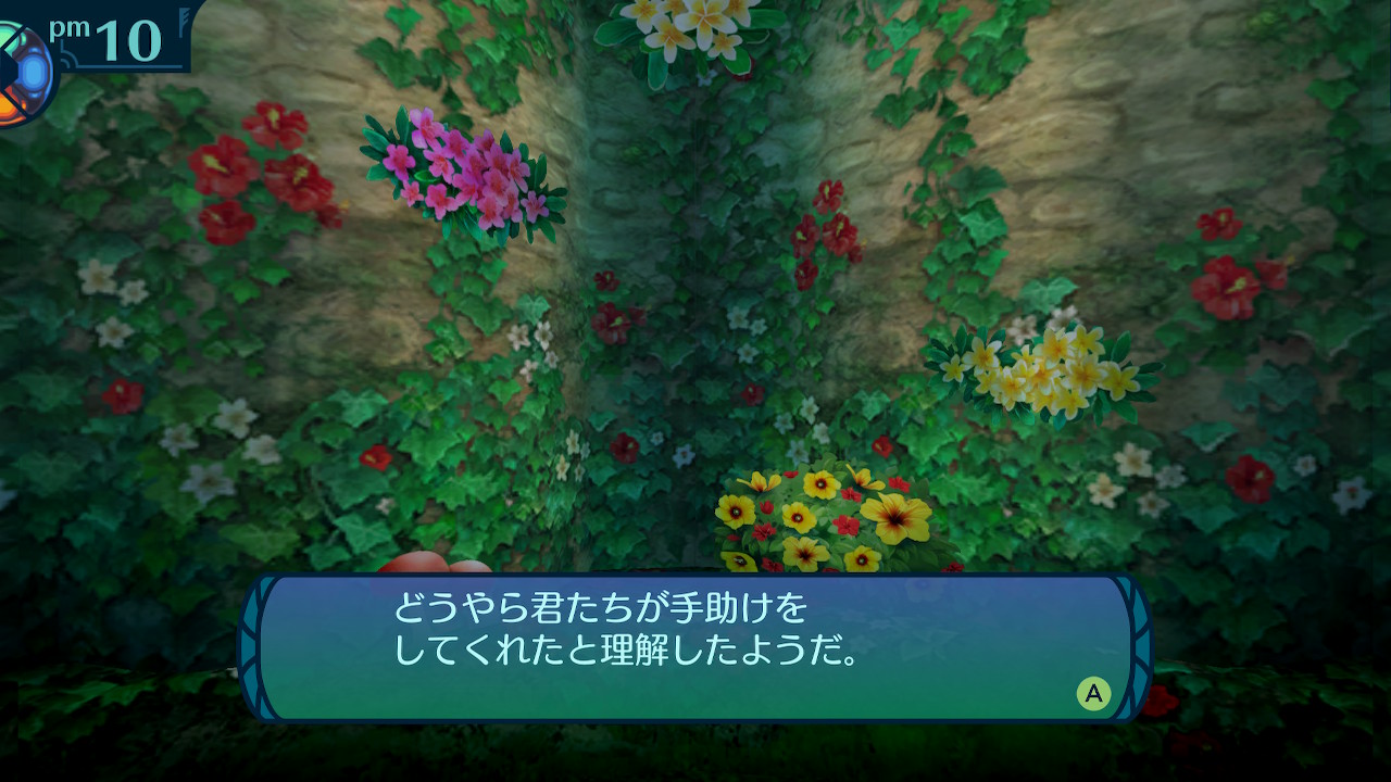 アモロ