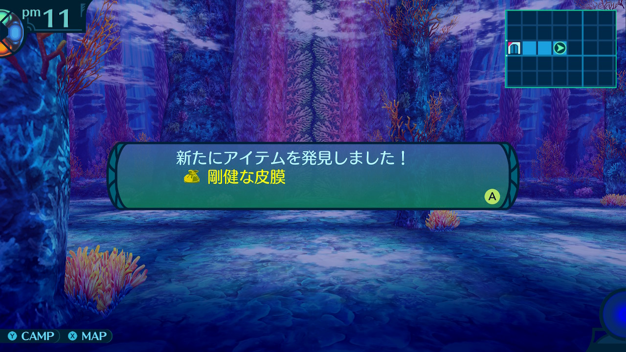 アモロ
