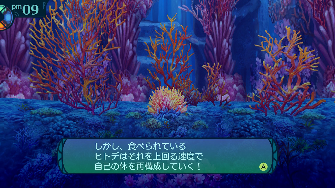 アモロ