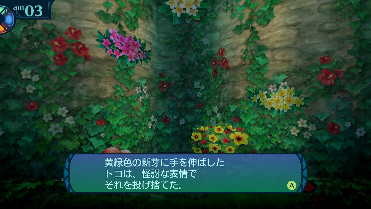 アモロ
