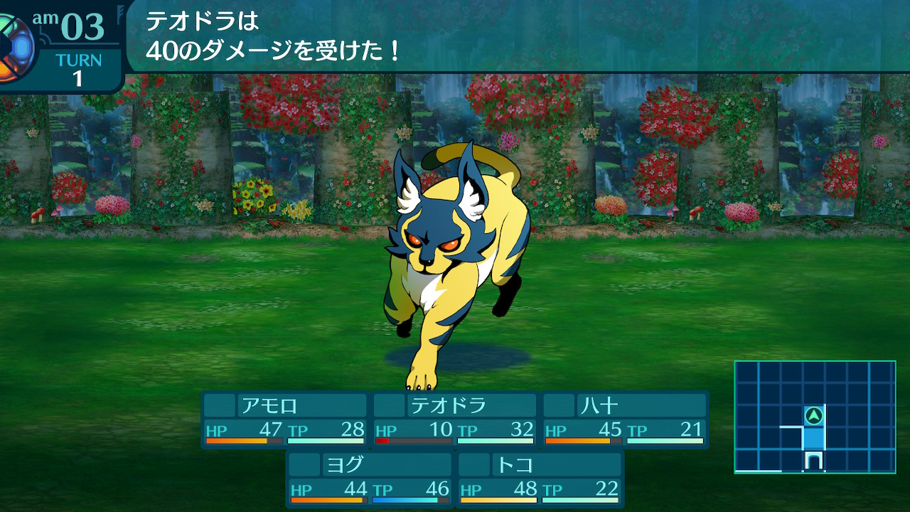 アモロ