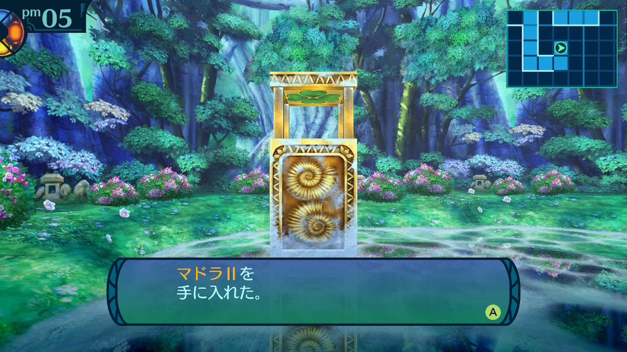 アモロ