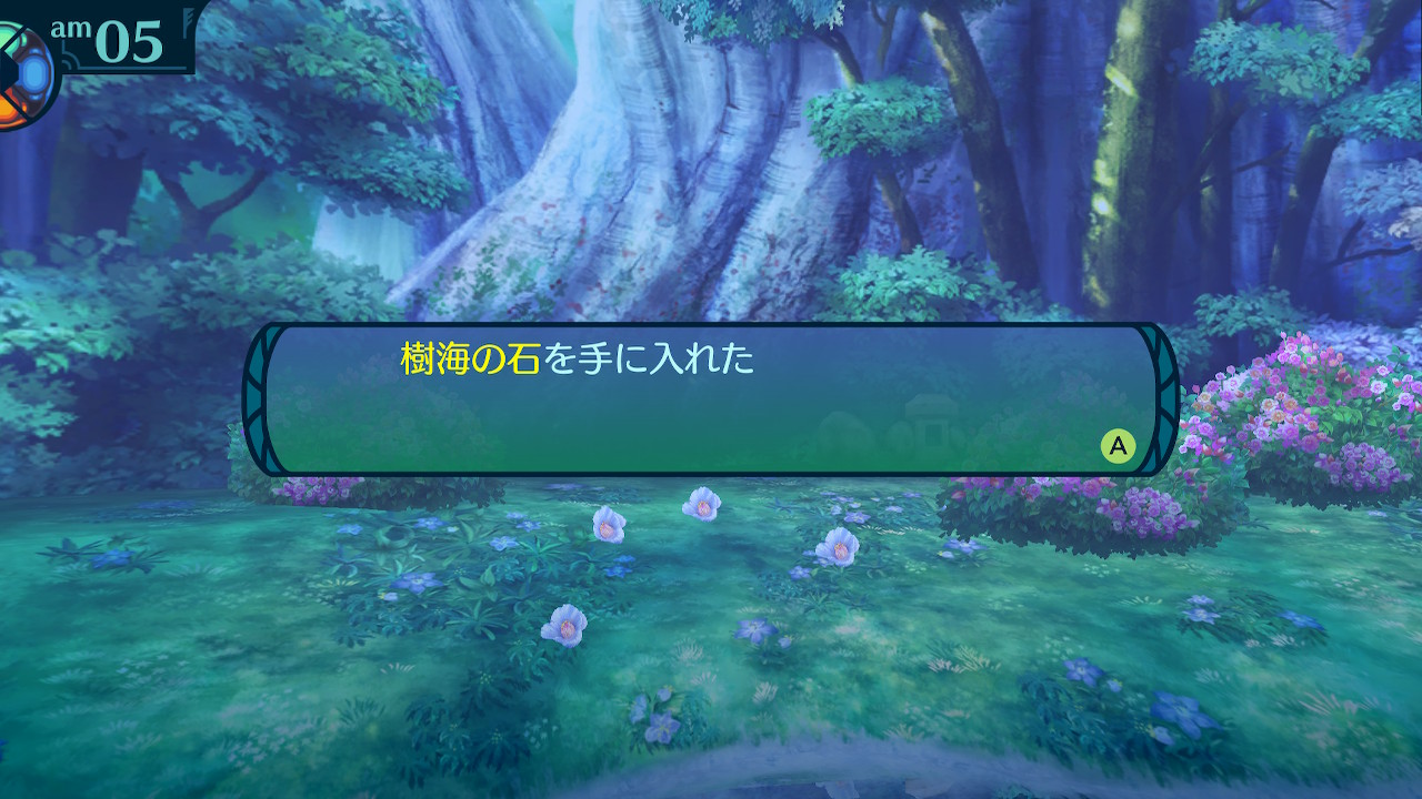 アモロ