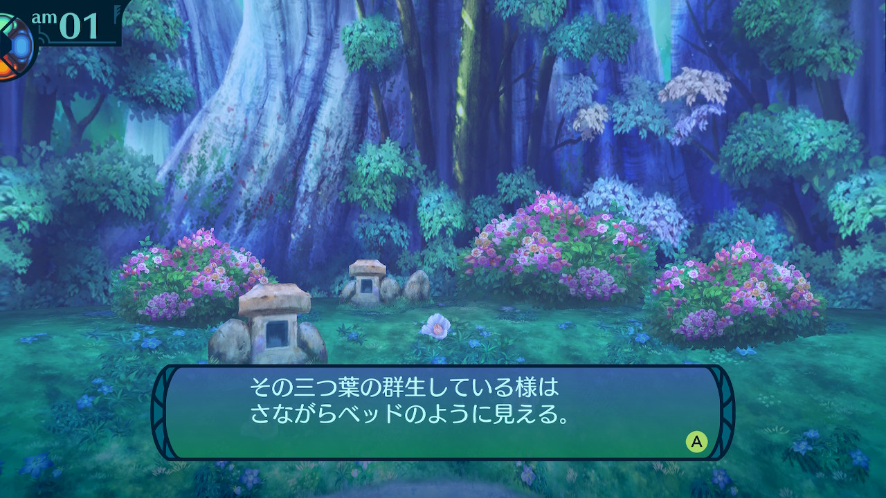 アモロ