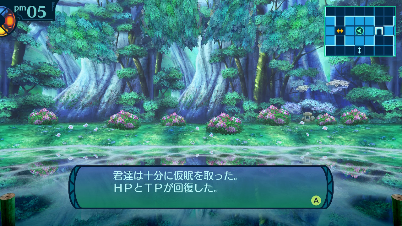 アモロ
