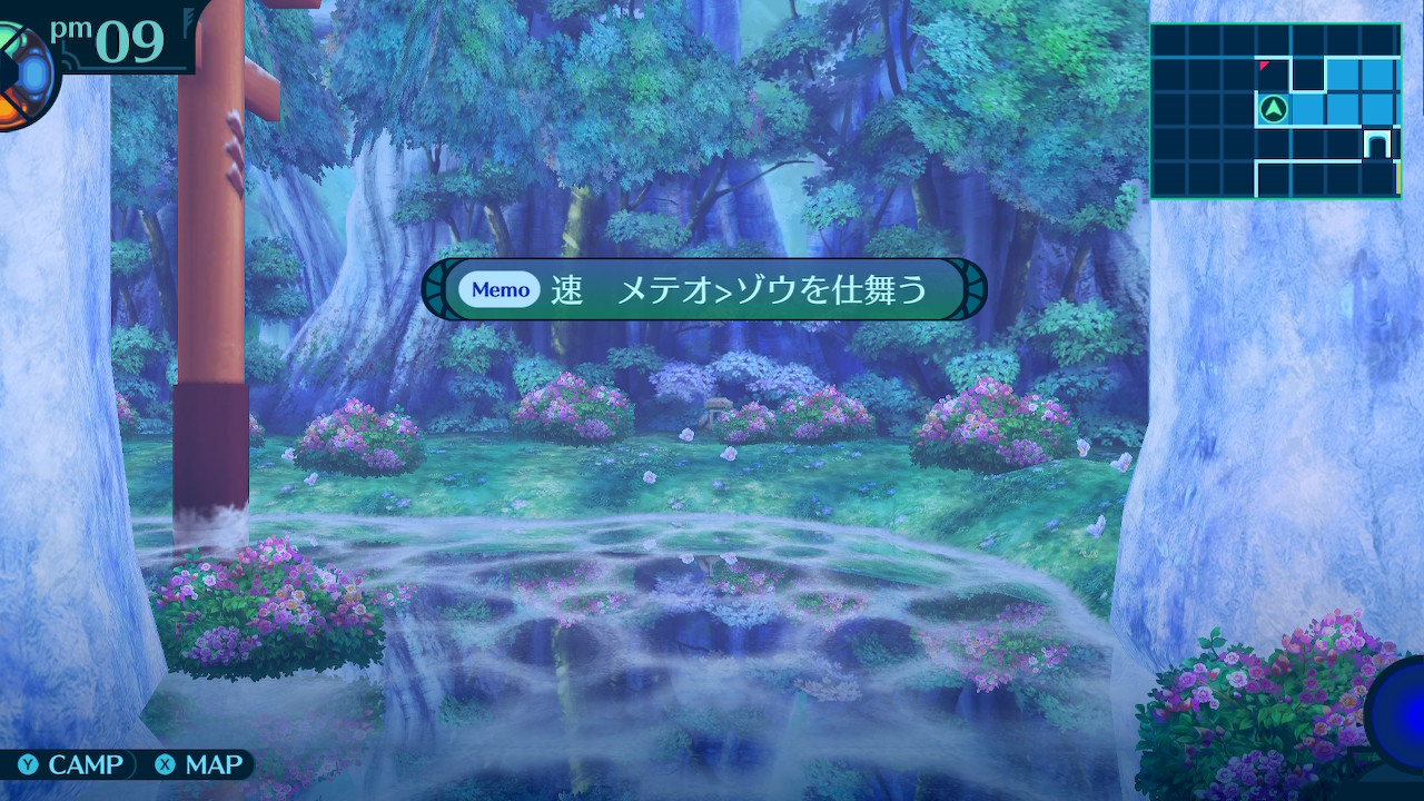アモロ
